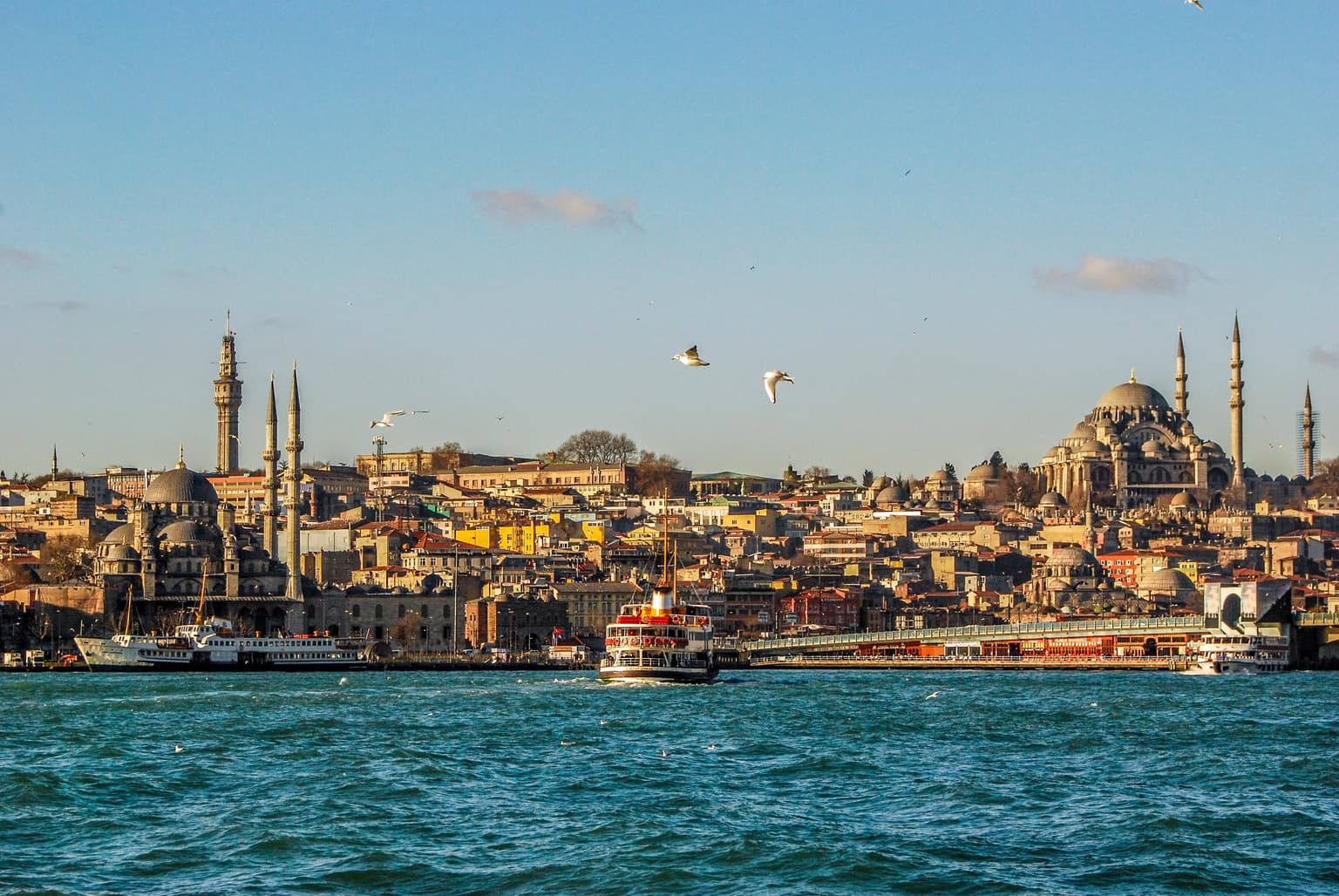 straife istanbul turkey consultancy 