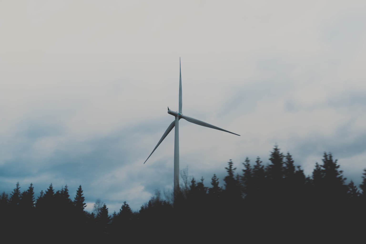 Straife strengthens offerings with the appointment of Ron Gualy to lead new Energy Transition & ESG service lines